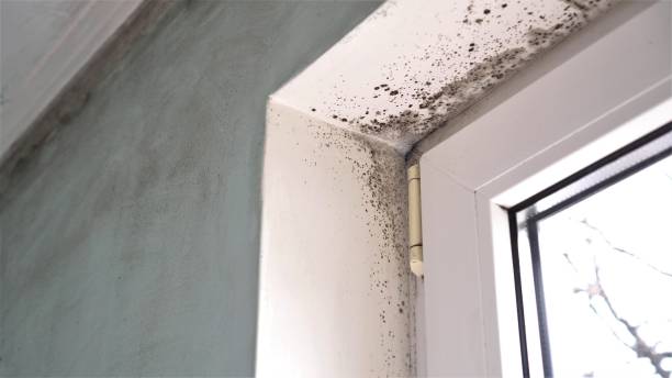 Best Air Quality Testing for Mold Spores  in Fort Deposit, AL