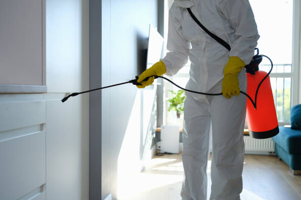 Best Emergency Mold Remediation  in Fort Deposit, AL