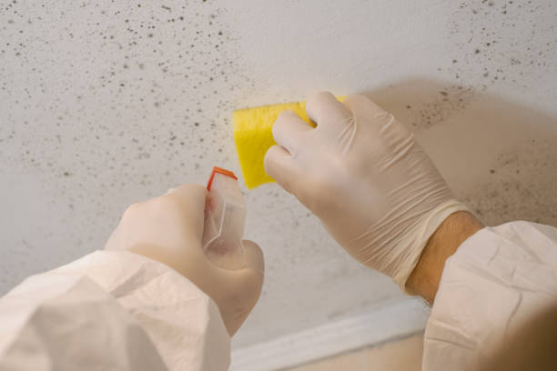 Best Crawl Space Mold Remediation  in Fort Deposit, AL